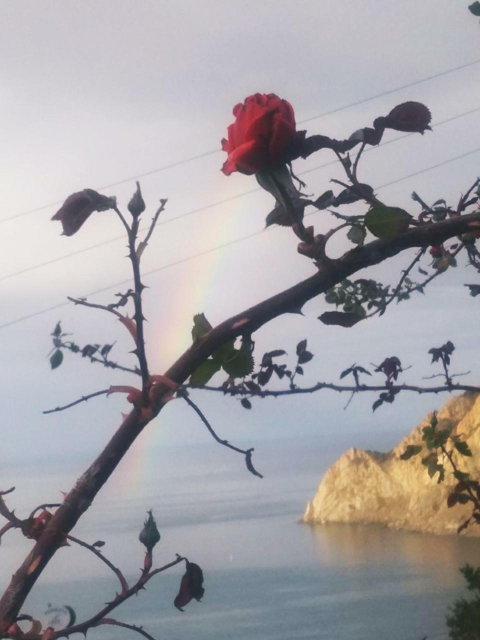 La Serra Sul Mare Monterosso al Mare Bagian luar foto