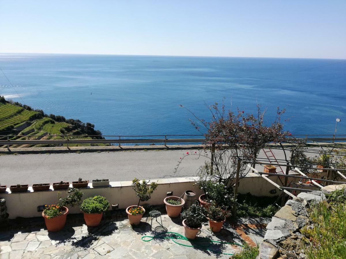 La Serra Sul Mare Monterosso al Mare Bagian luar foto